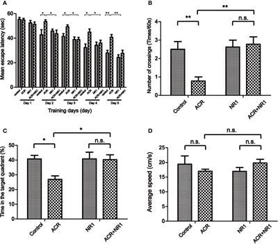 Notoginsenoside R1 Protects Against the Acrylamide-Induced Neurotoxicity via Upregulating Trx-1-Mediated ITGAV Expression: Involvement of Autophagy